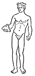 A black-and-white line drawing of the typical nude Mercury bronze Boucher is referencing. He is completely naked, holding out the purse in the open palm of His right hand. His hair, devoid of the petasus, sprouts the wings. Nothing is held in His left hand, which probably should have the caduceus which is so often lost.